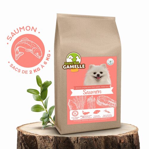 Recette au Saumon - Chien petite race ( 1 à 5 kg)