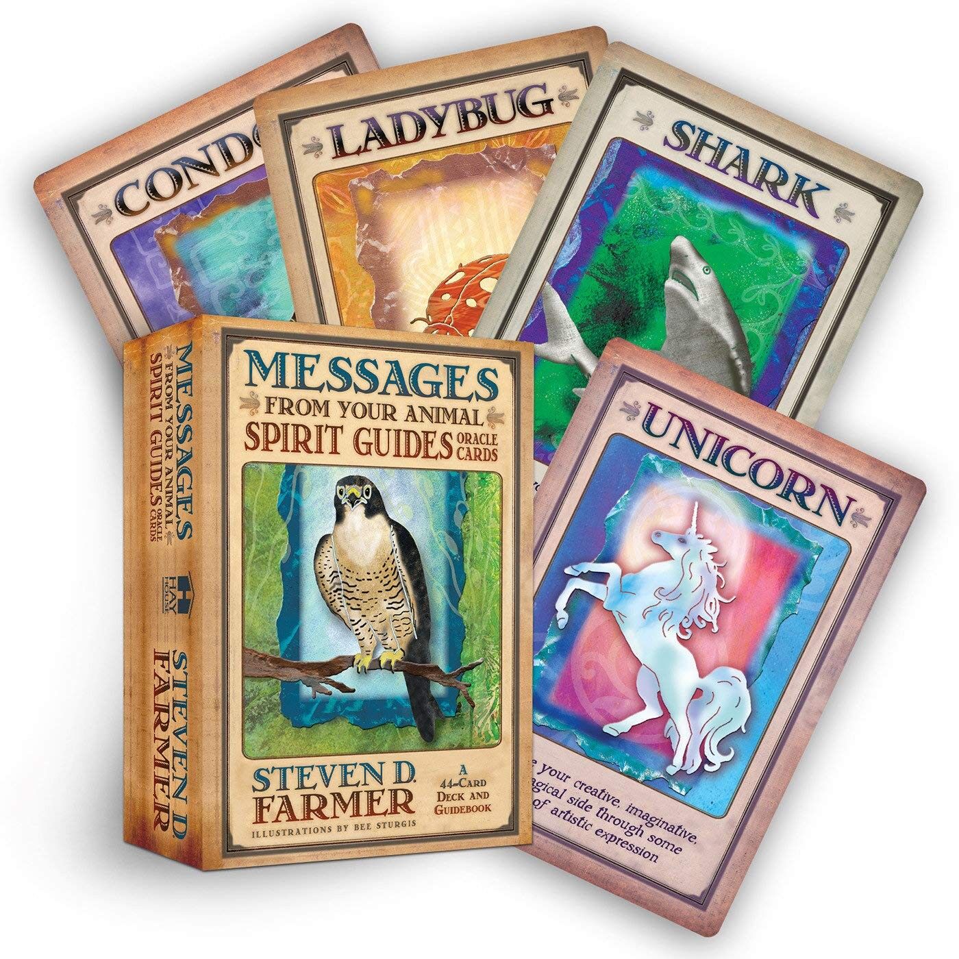 Messaggi dalle tue guide spirituali animali Carte dell'oracolo Hay House