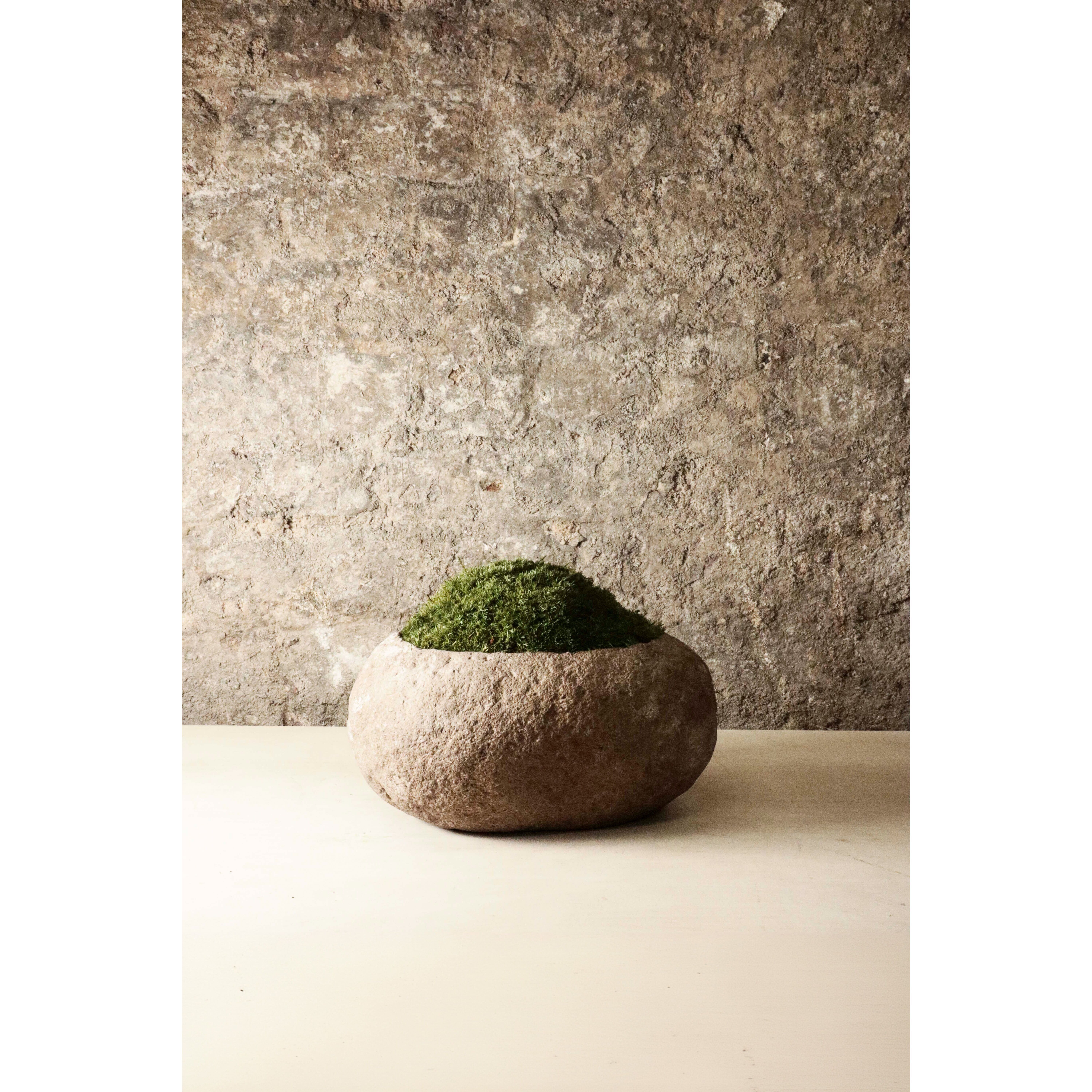 Pierre de rivière Indo plantée de mousse préservée FR25