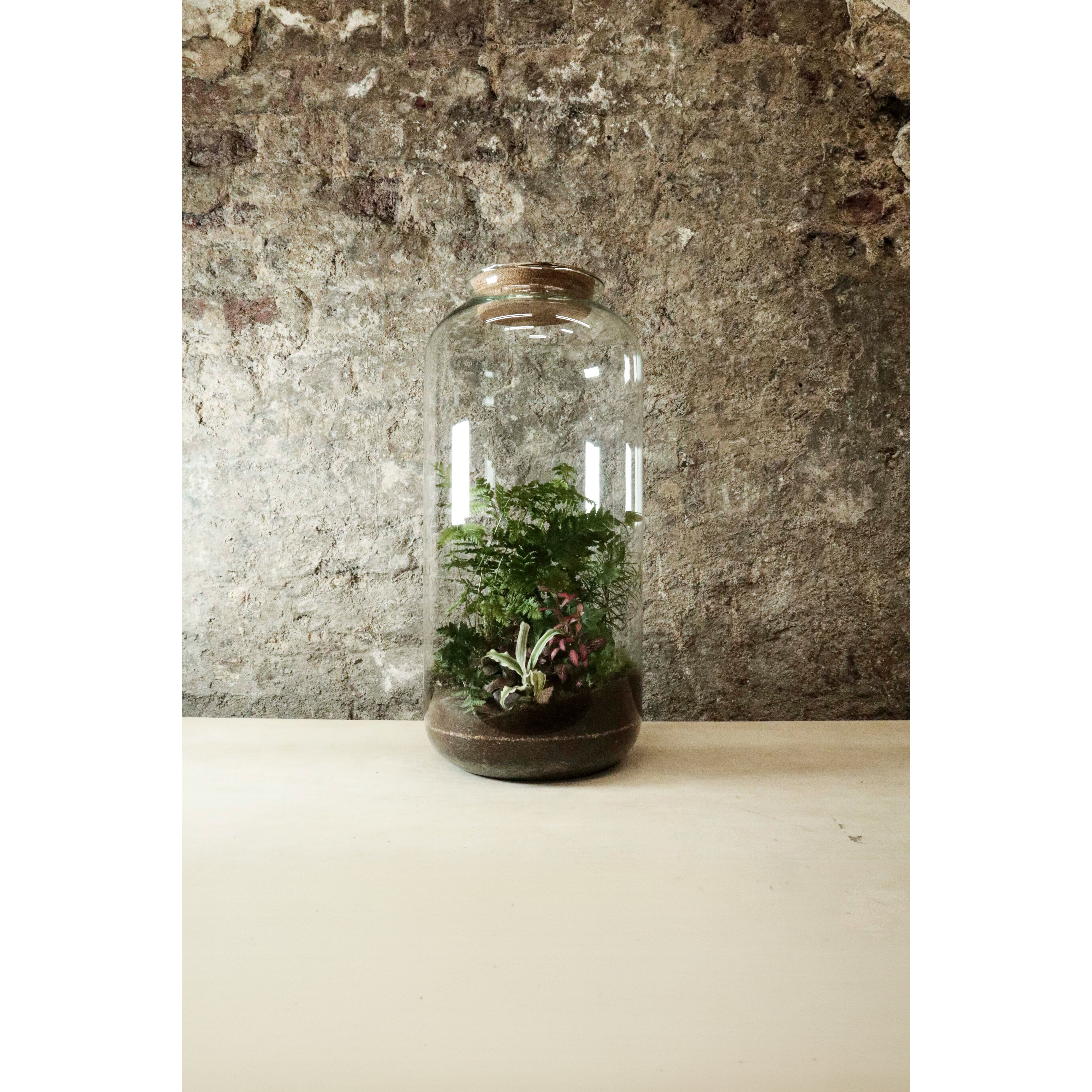 Grand bocal en liège pour terrarium 50x23cm FR31