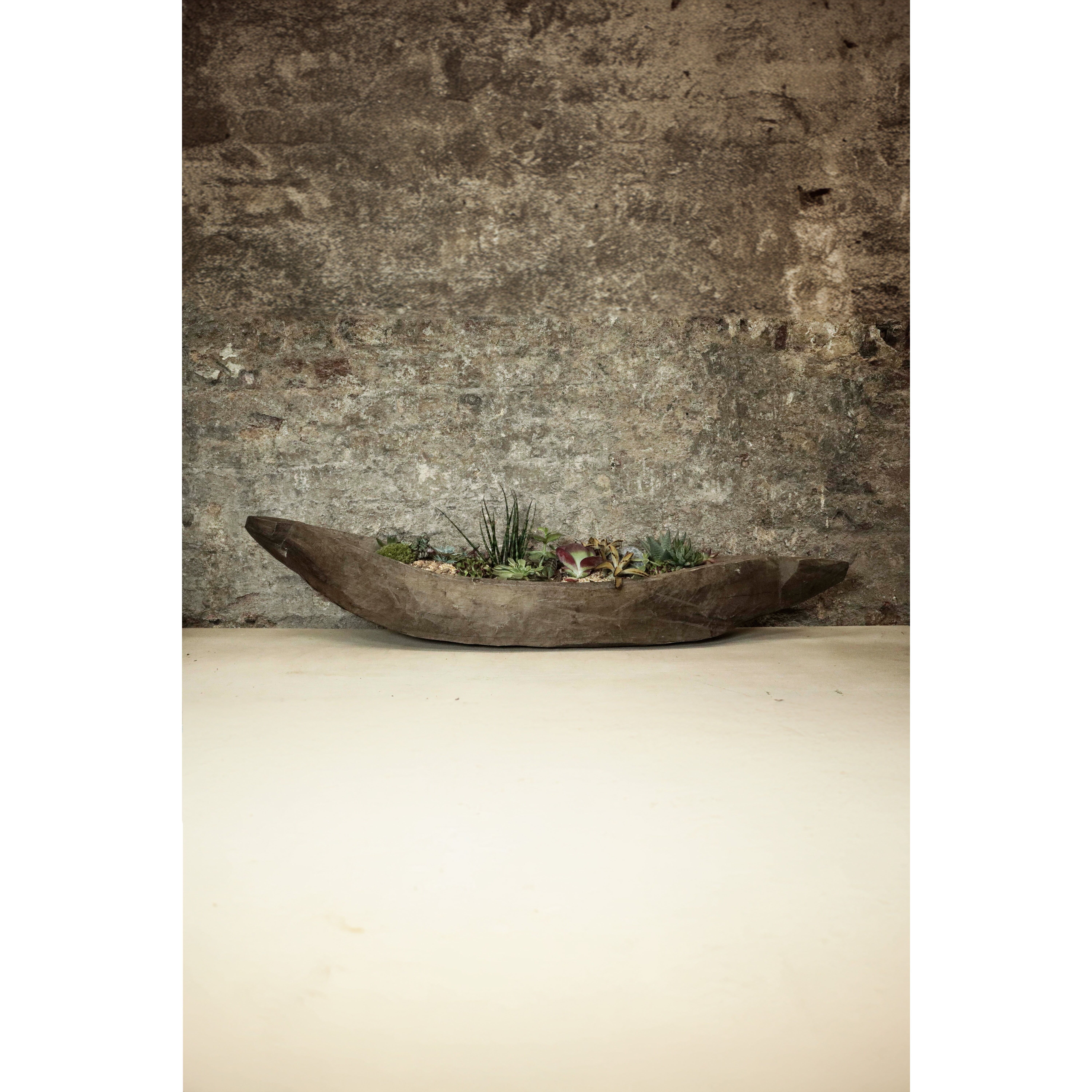 Canoa Mokoro piantata con giardino succulento FR39