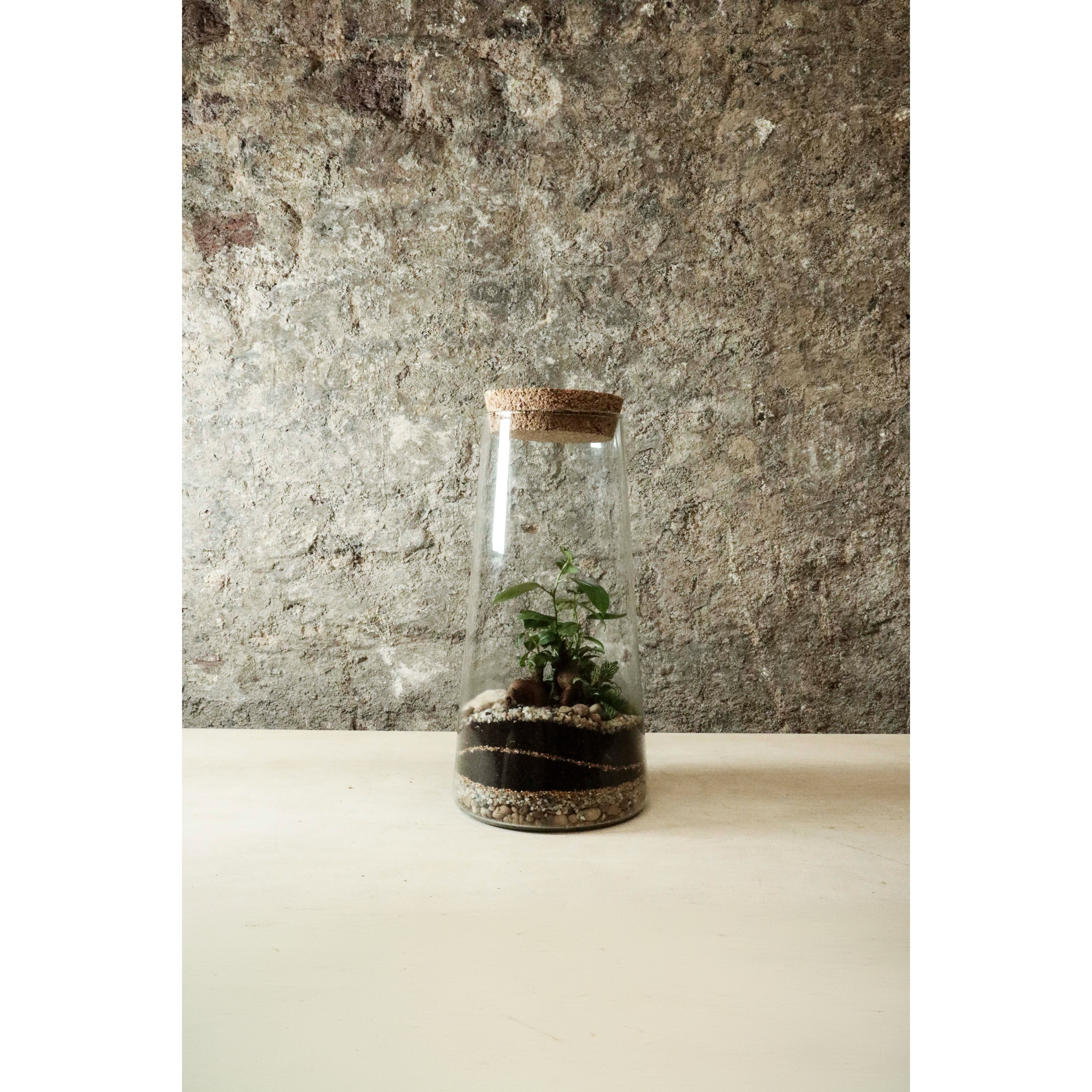 Terrario in barattolo conico 31x15cm FR34