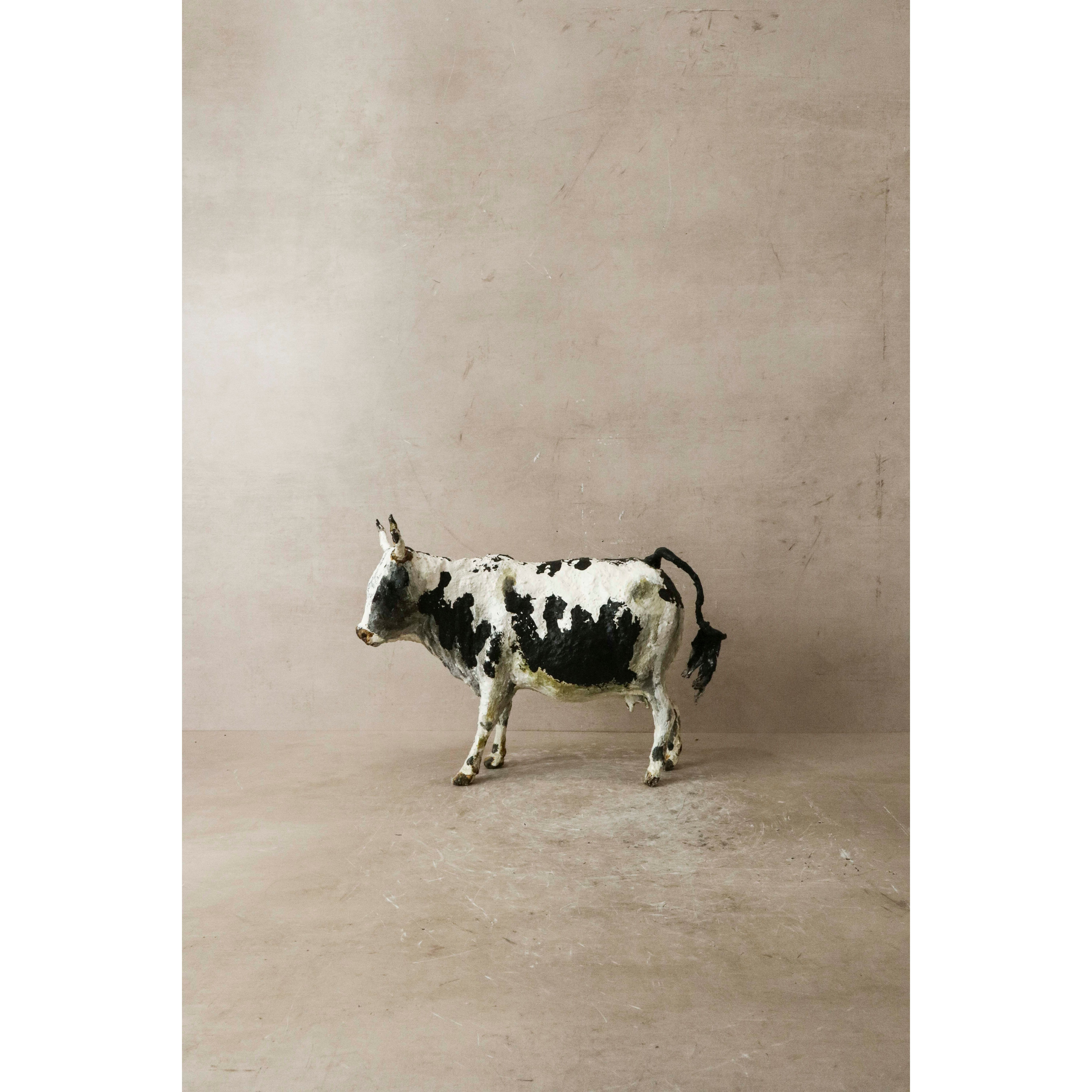 Vache Nguni en papier mâché - 62.1