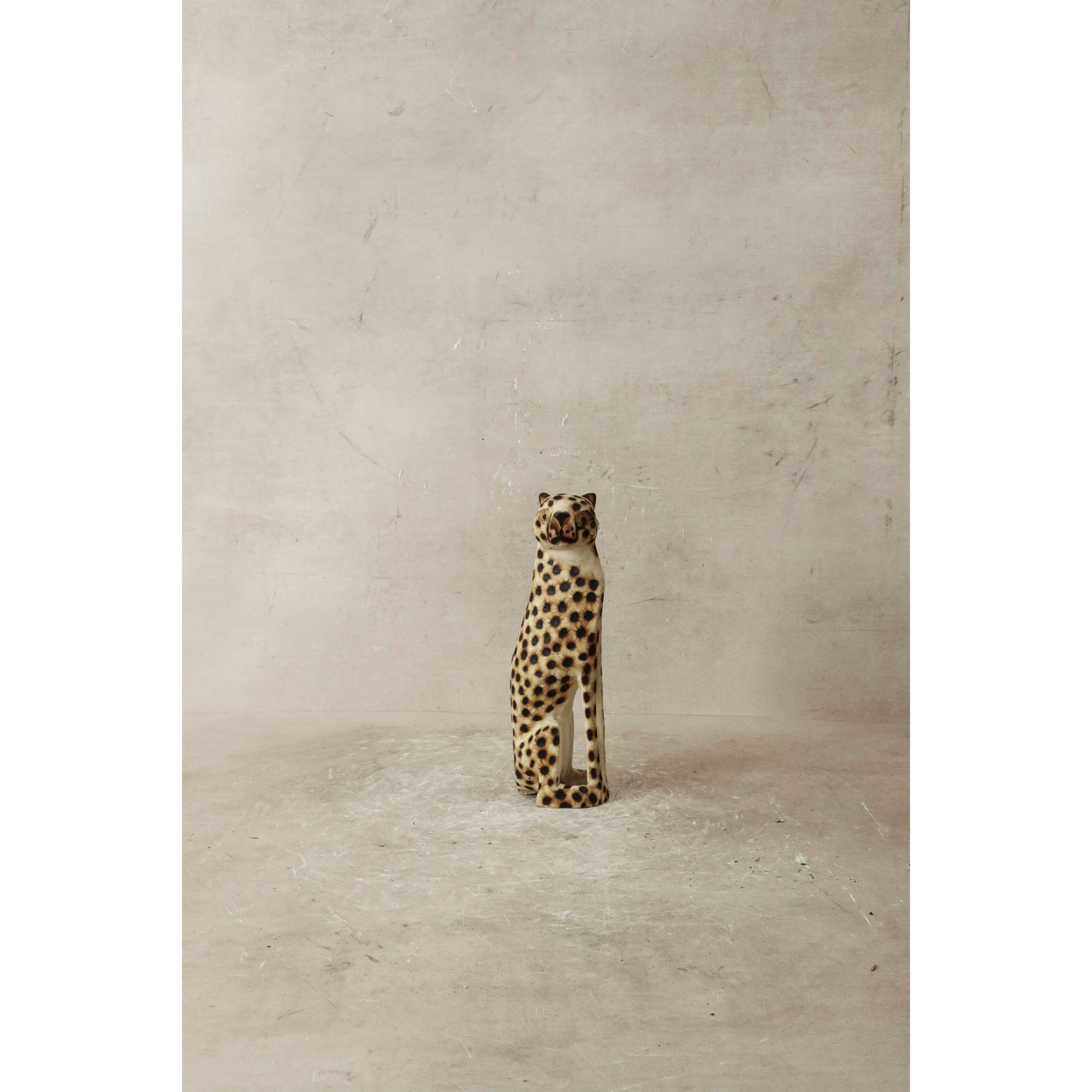 Ghepardo dello Swaziland - 35.1