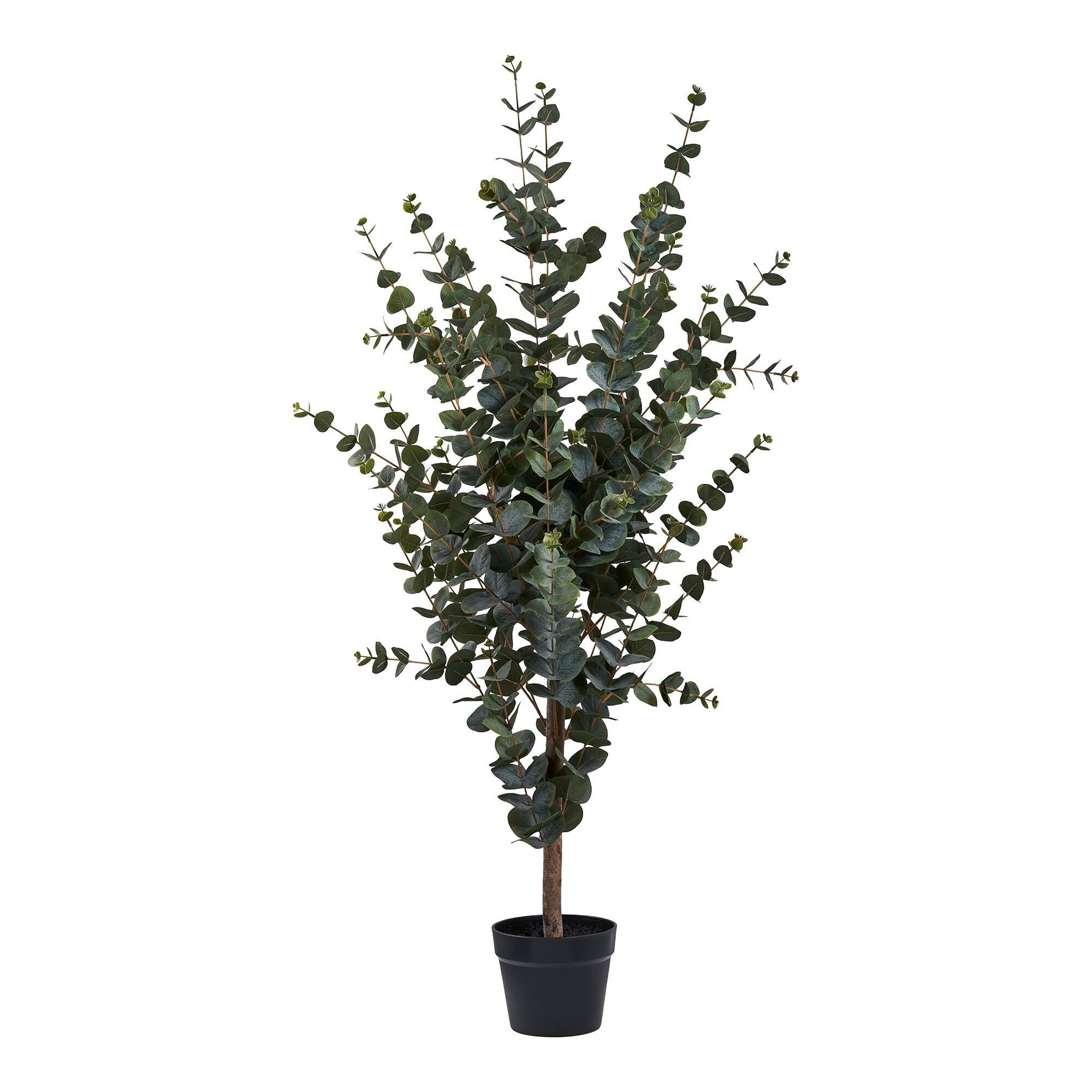 Albero di eucalipto - Pianta artificiale, verde H: 120 cm