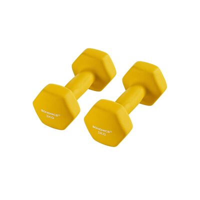 Haltères lot de 2 2 x 3 kg