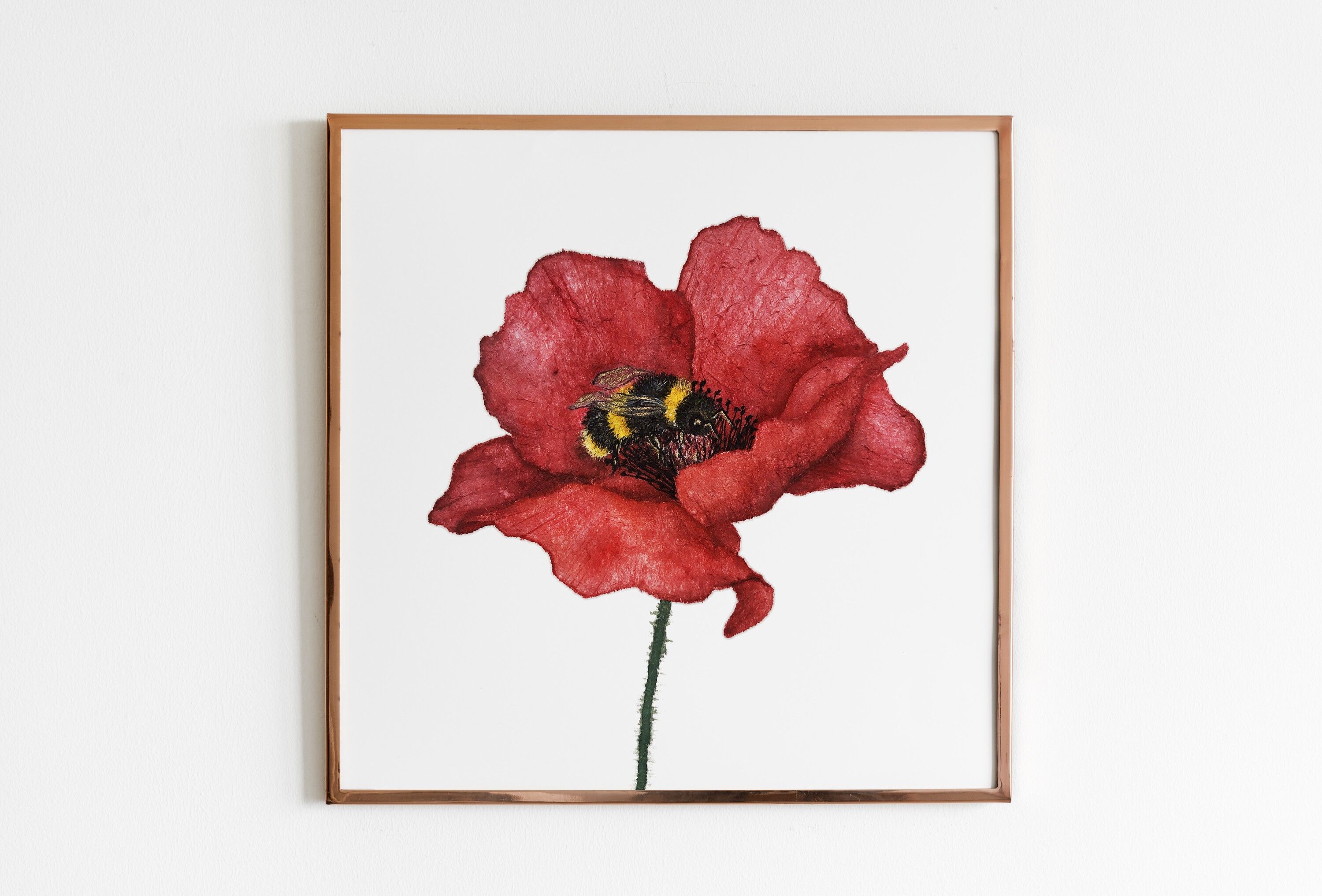 Poster di fiori di papavero e calabrone - 20 x 20 cm - Stampa poster di fiori di papavero floreale