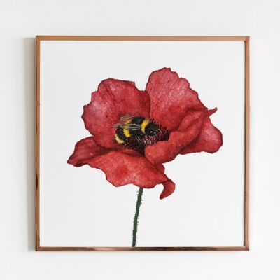 Poppy and Bumblebee Flower Poster - 20 x 20 cm - Poppy Flower Poster Print Floral