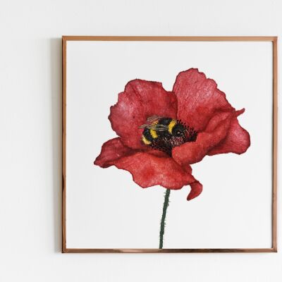Mohn- und Hummelblumen-Poster – 20 x 20 cm – Poppy Flower Poster Print Floral