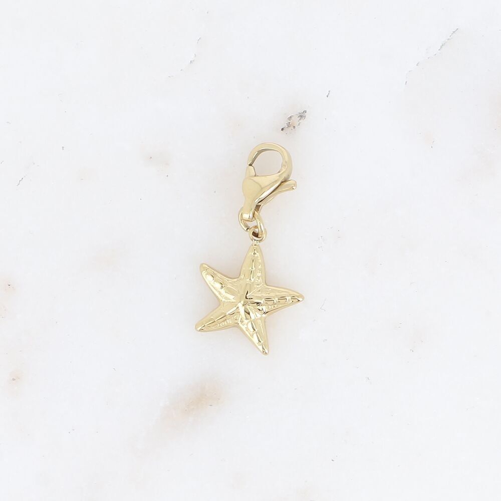 Fascino: stella marina strutturata