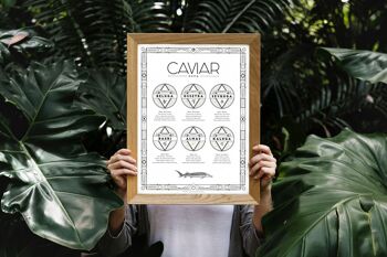 Poster Guide du Caviar 2