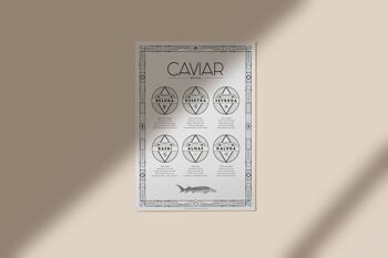Poster Guide du Caviar 8