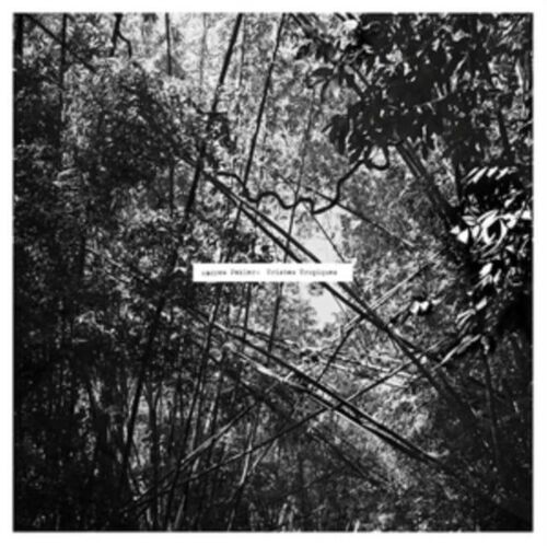 Andrew Pekler LP Vinyl Record - Tristes Tropiques