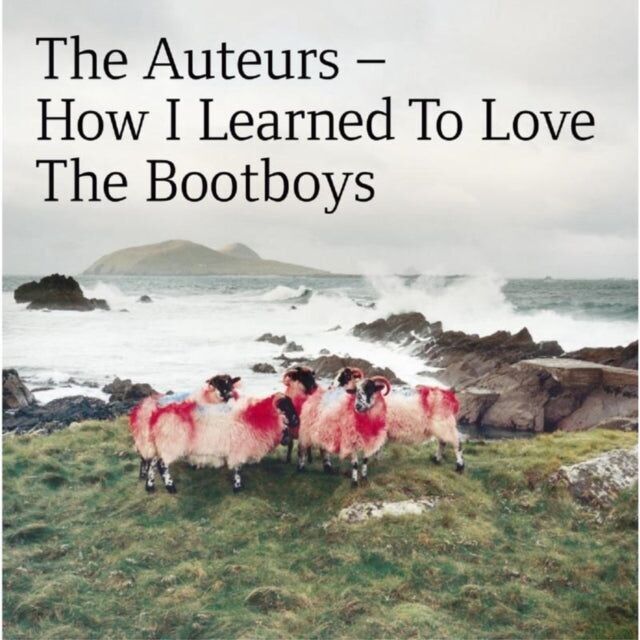 Auteurs CD - How I Learned To Love The Bootboys Expanded Edition