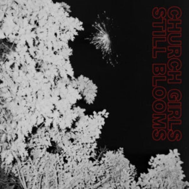 Church Girls LP - Still Blooms