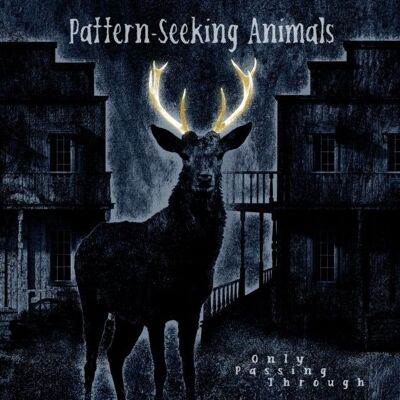 Animales en busca de patrones LP - Only Passing Through (Desplegado)