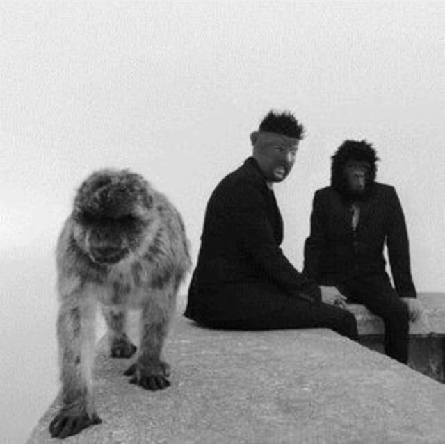 Pelomono LP - Gibilterra