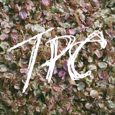 Tokyo Police Club LP - TPC