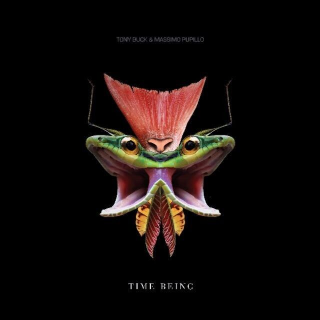 Tony Buck e Massimo Pupillo LP - Time Being