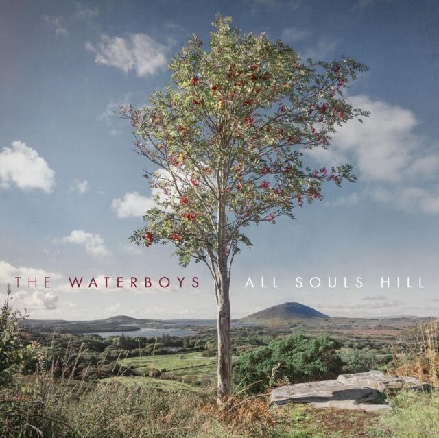 Waterboys L'LP - Tutte le anime Hill