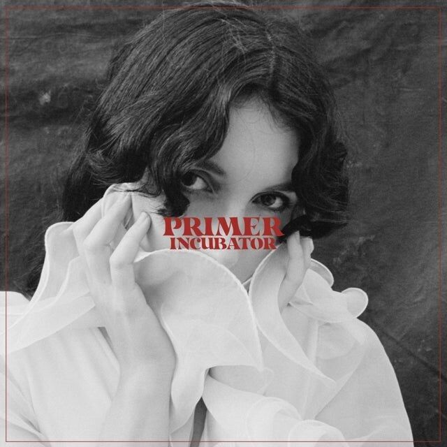 Incubadora de discos de vinilo Primer LP