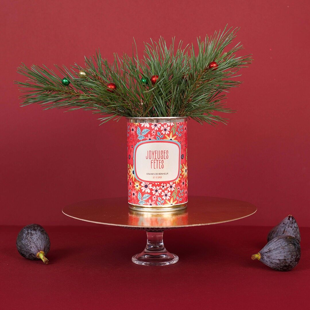 Aussaatsets „Frohe Feiertage“, hergestellt in Frankreich