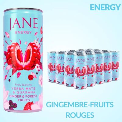 3770021022608 - Natural Energy Drink - Mate + Guarana - Flavor: Ginger Berries - JANE 25cl (X24 units)