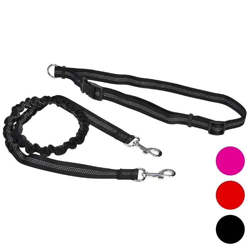 Guinzaglio Cane con Cintura Running