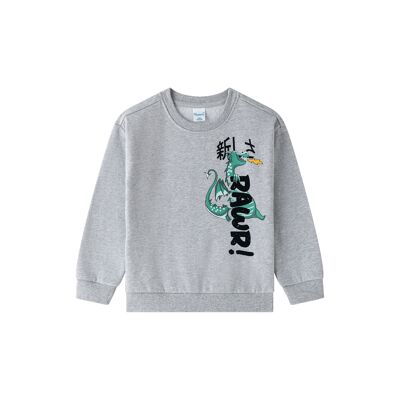 Sweat Garçon Gris En Maille Brossée