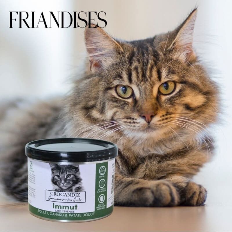 Friandises pour chat - Recette IMMUT