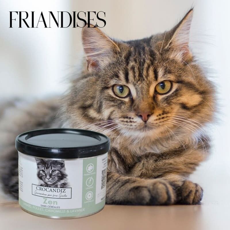 Friandises pour chat - Recette ZEN