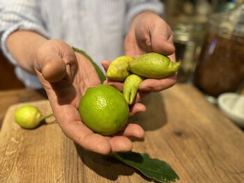 Apéritif Arrangé Bergamote & Citron Vert 3