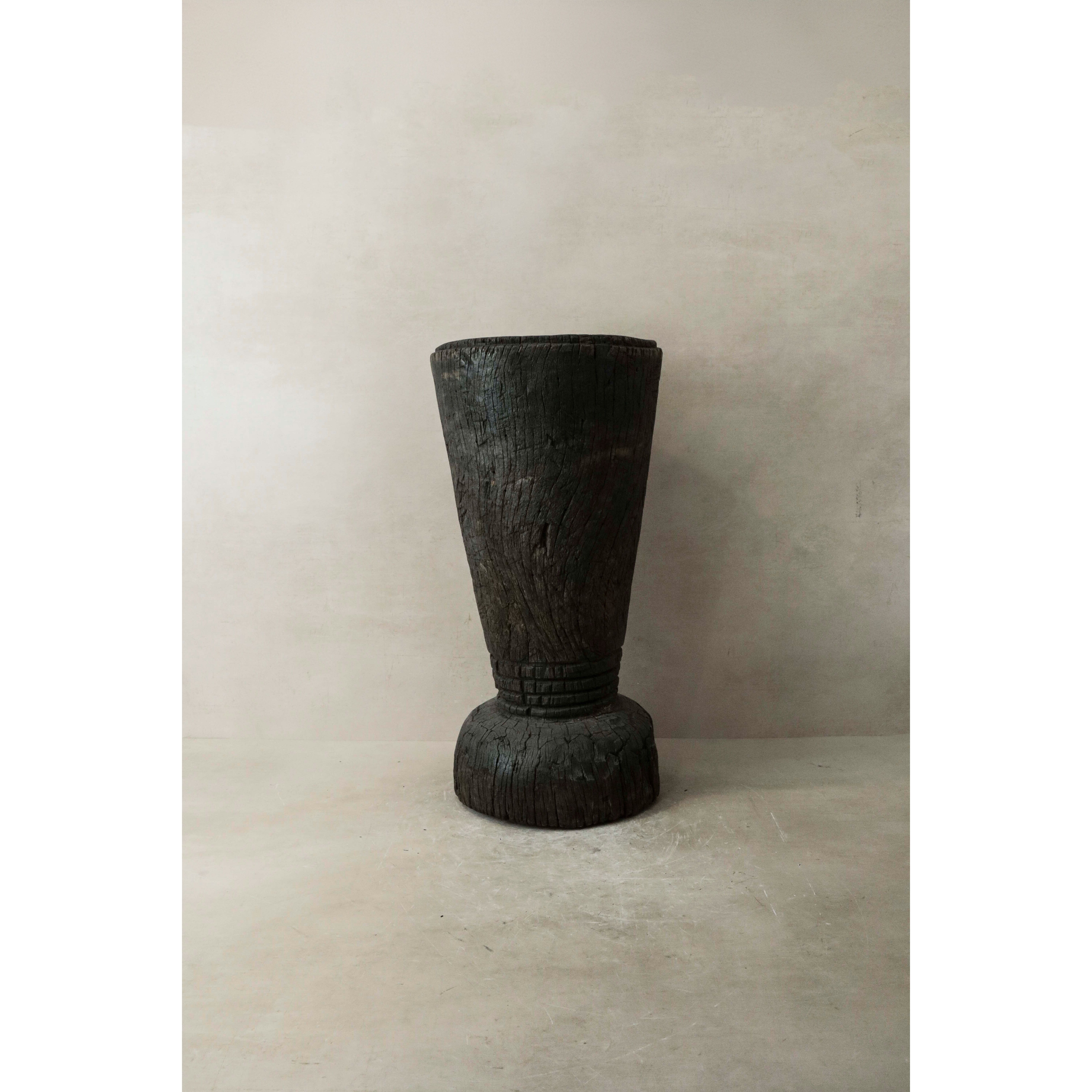 Calpestatore di grano africano - 155.7