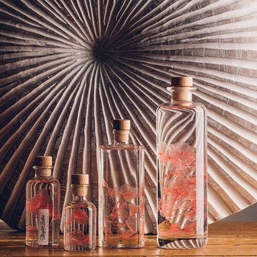 L'Herbarium de Théophile - Hortensia rose - fleur immergée