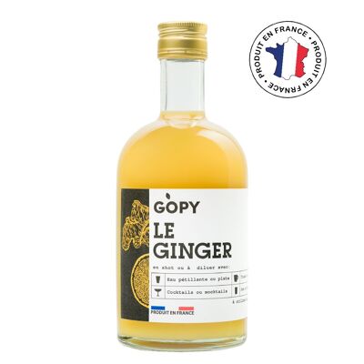 Lot de 16 / Ginger Classique 55% de Gingembre - 500 ML