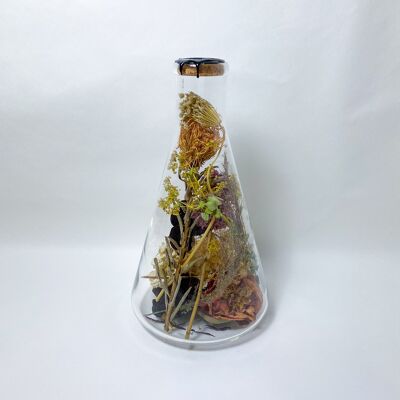 Dried Flower Decoration in Glass  Kibo 2000 ml black wax