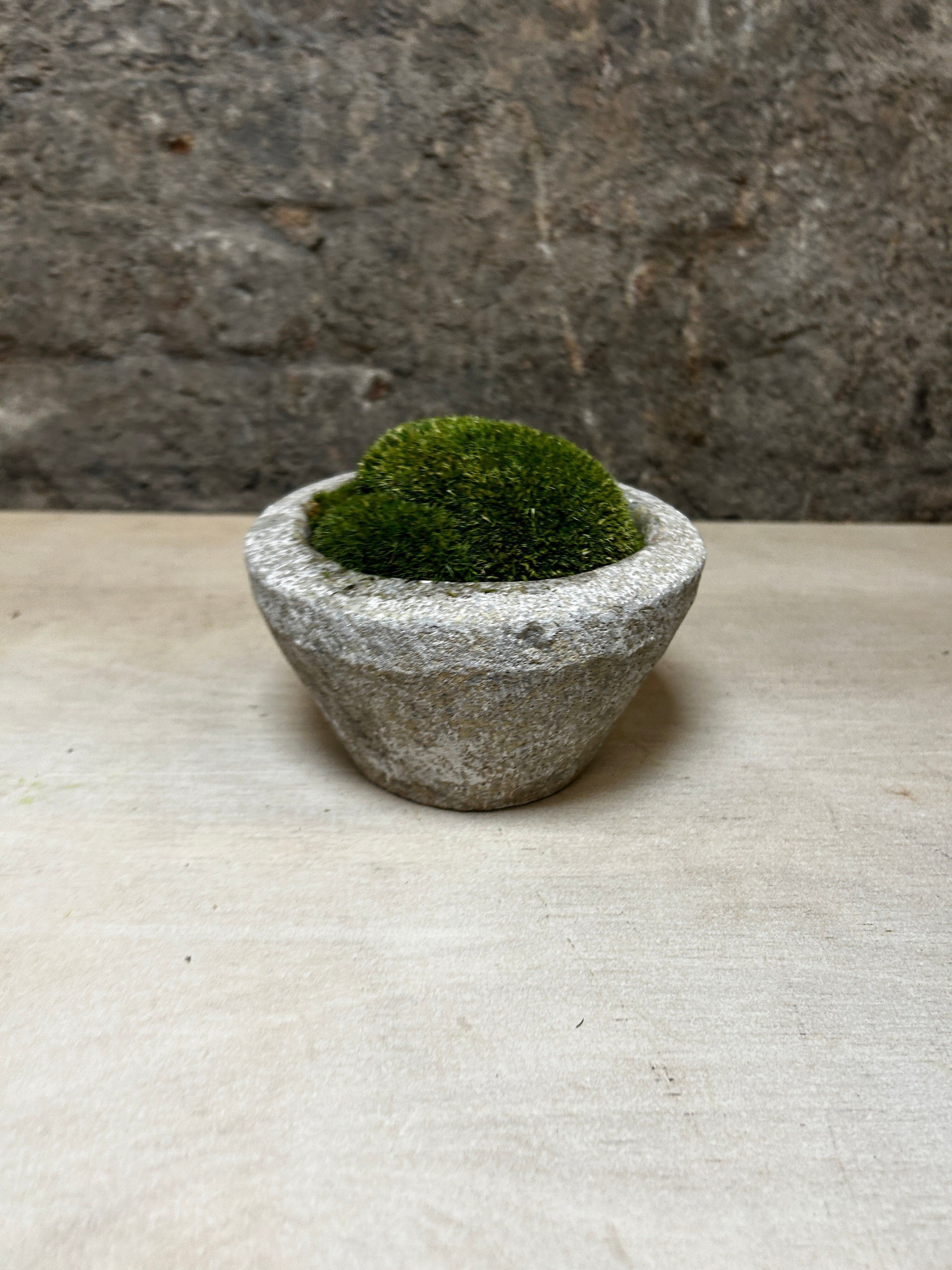 Mortaio antico in pietra con muschio FR51