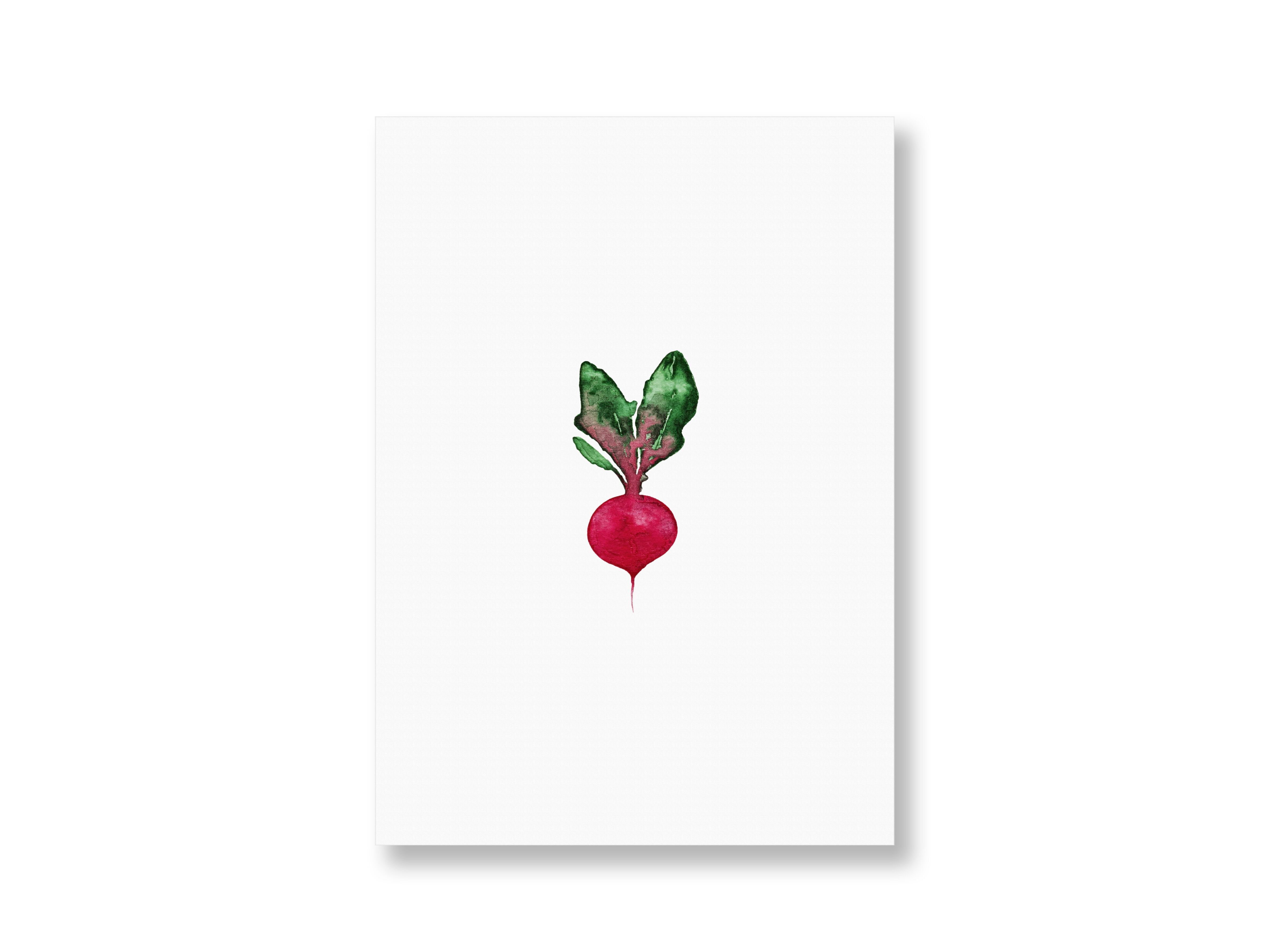 Postkarte Radieschen