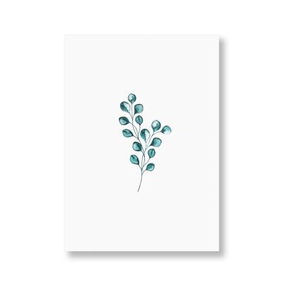 Eucalyptus | Postcard