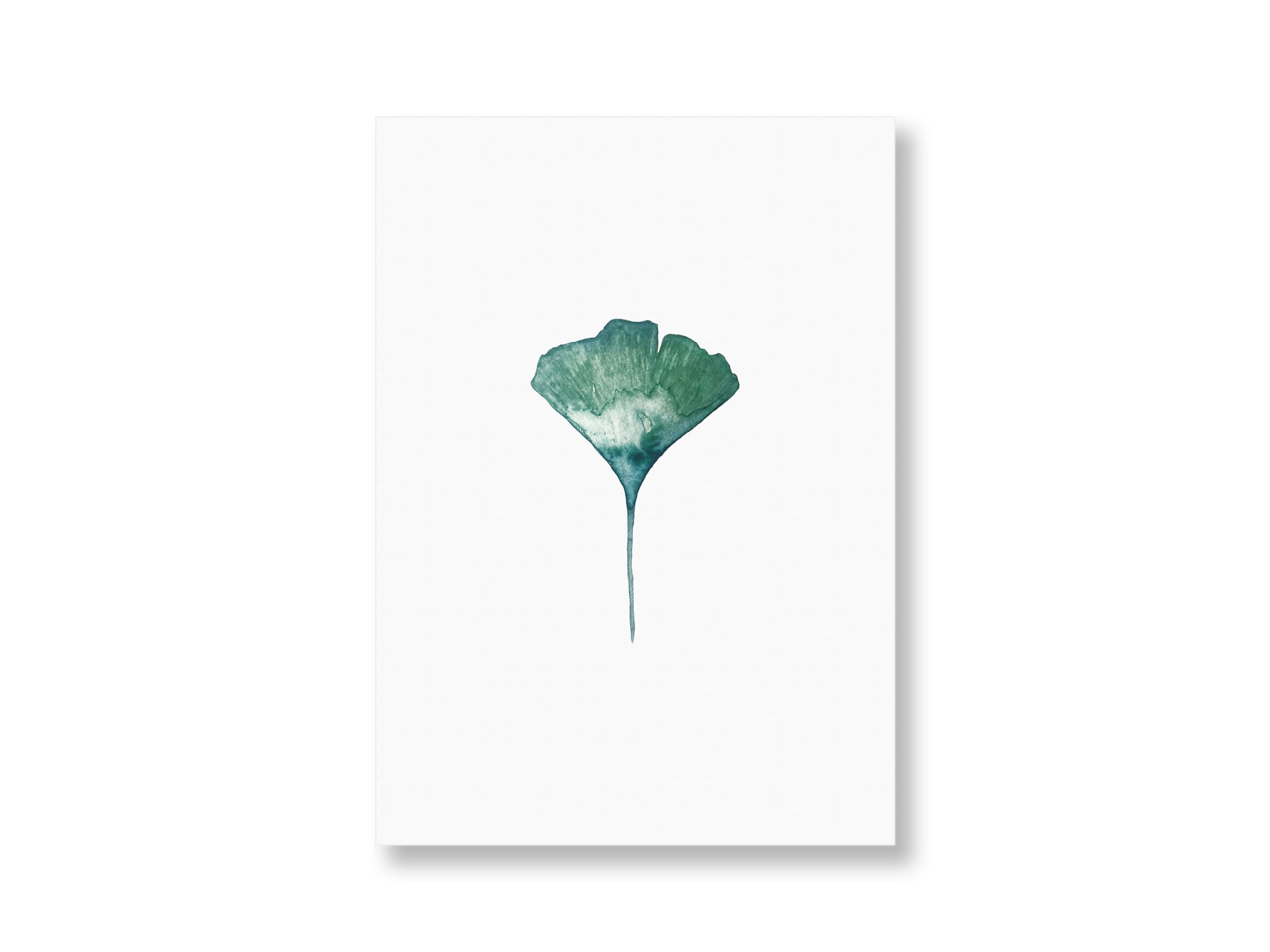 Ginkgo | Postkarte