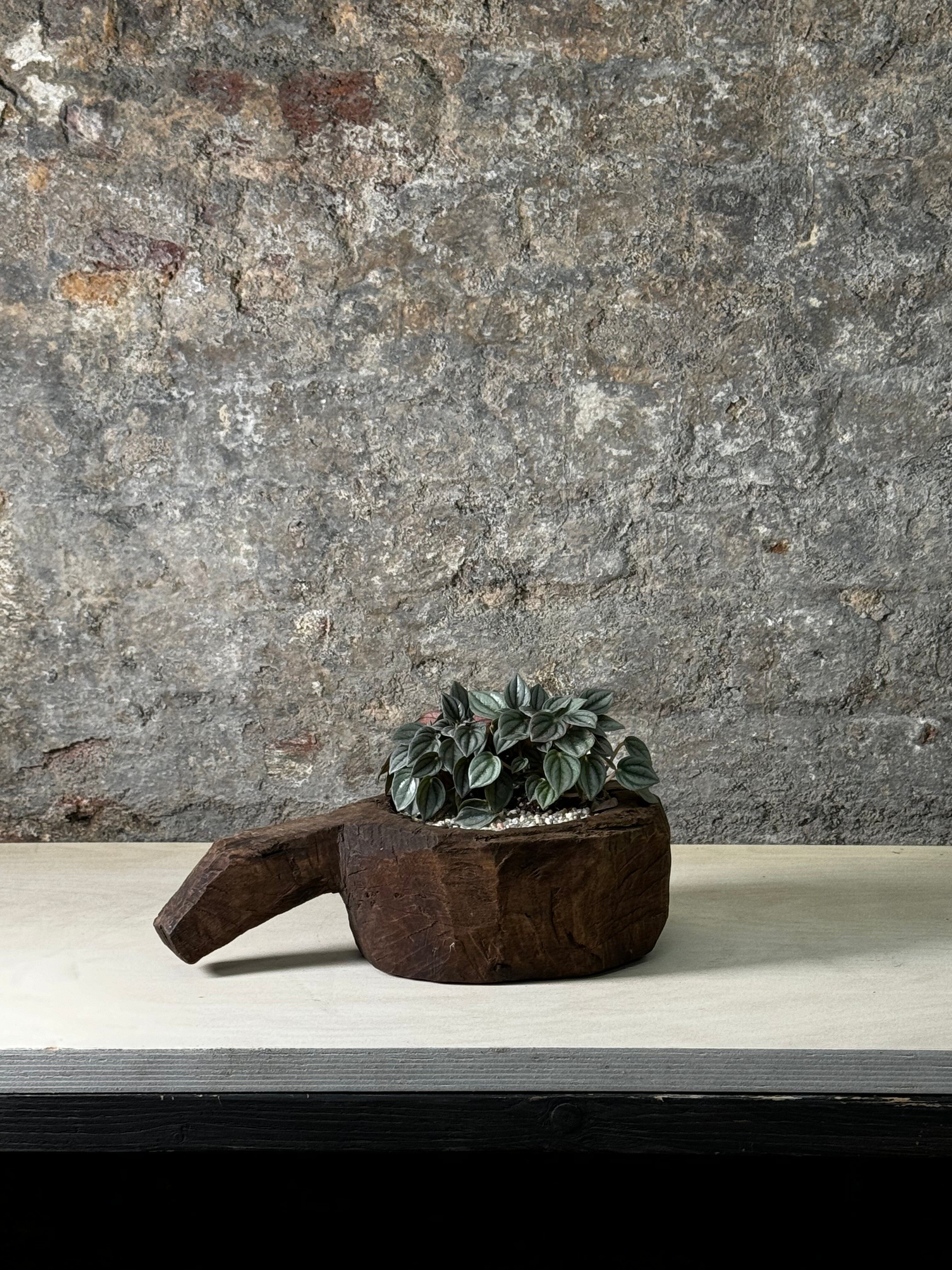 Cuillère de bain vintage avec Pikea Moon Valley FR12