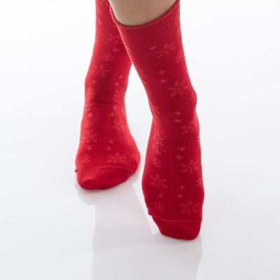 CASARSE 1.0 - rojo