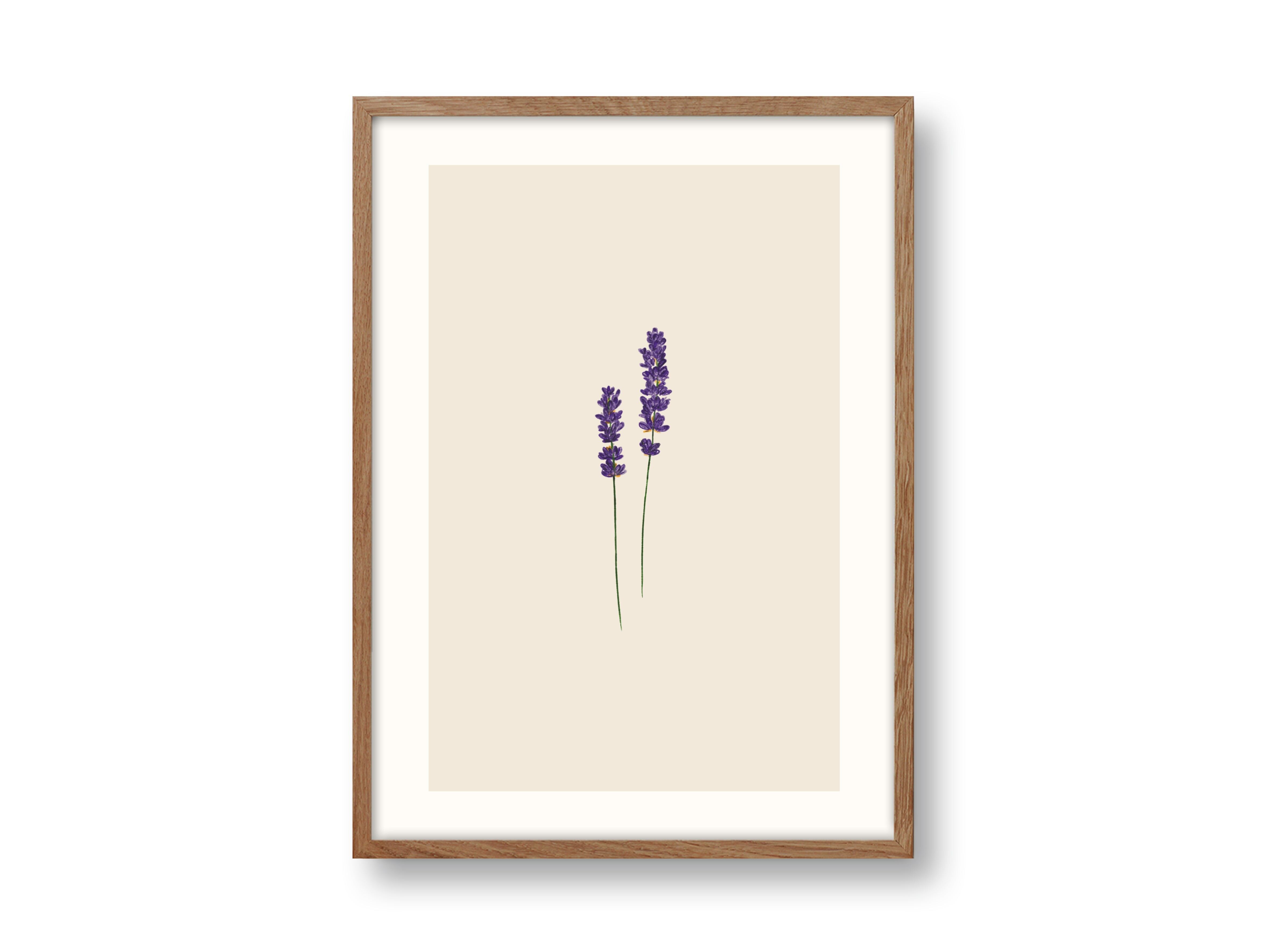 Lavendel Kunstdruck, Lavendel Poster, Lavendel
