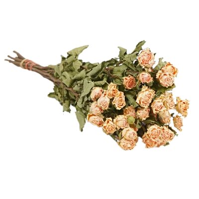 Fiori secchi Rose spray Natural Soft Pesca