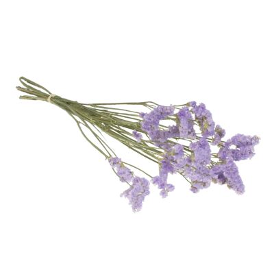Fiori secchi Statice naturale lilla