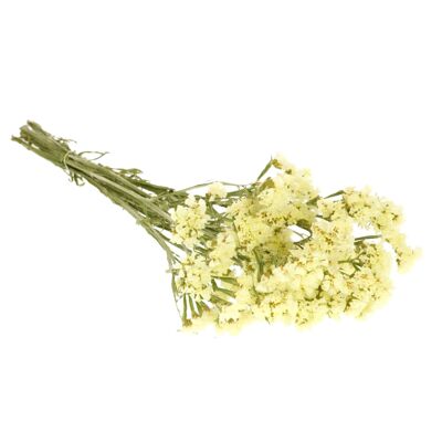 Fiori secchi Statice Giallo naturale