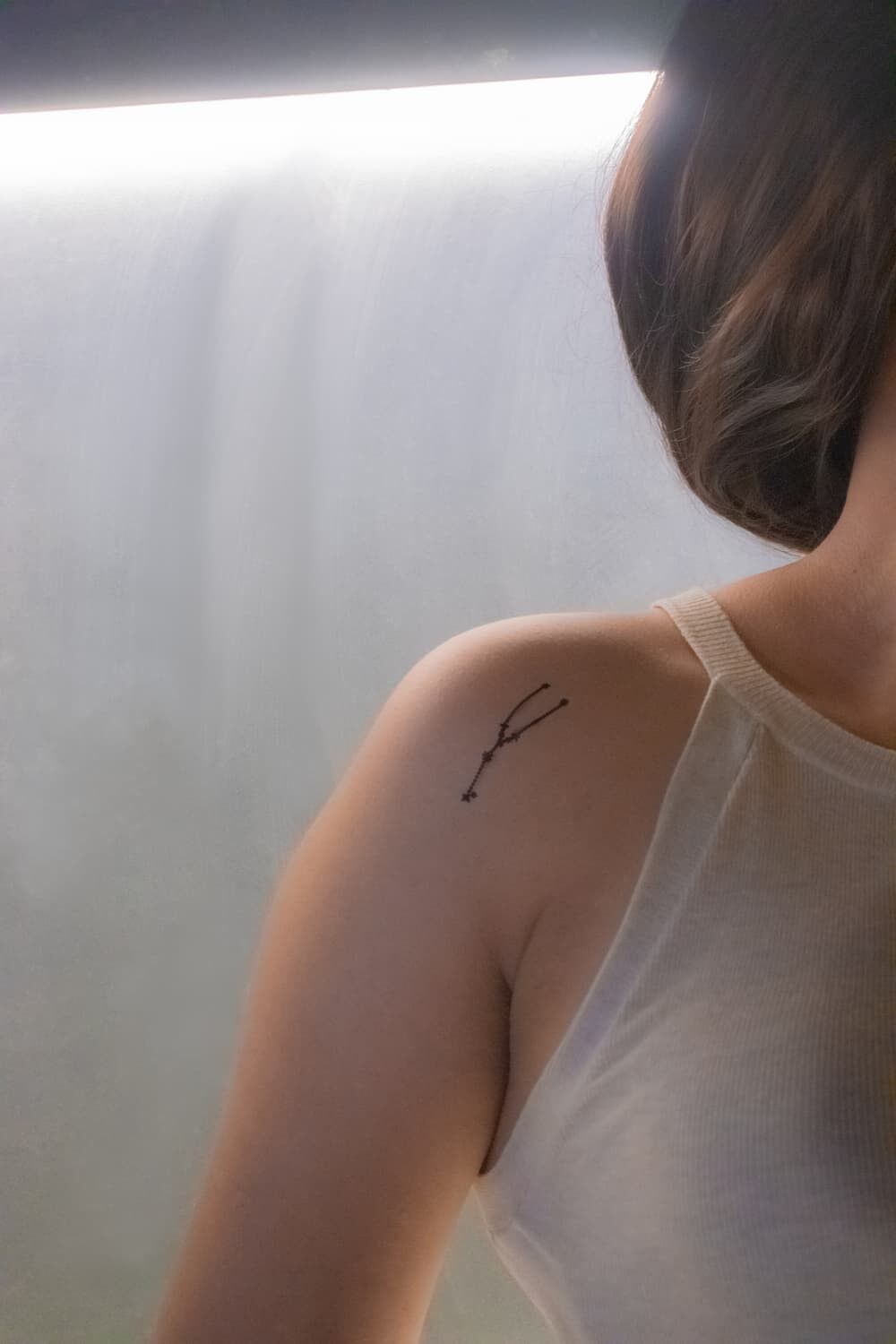 Costellazione del Toro