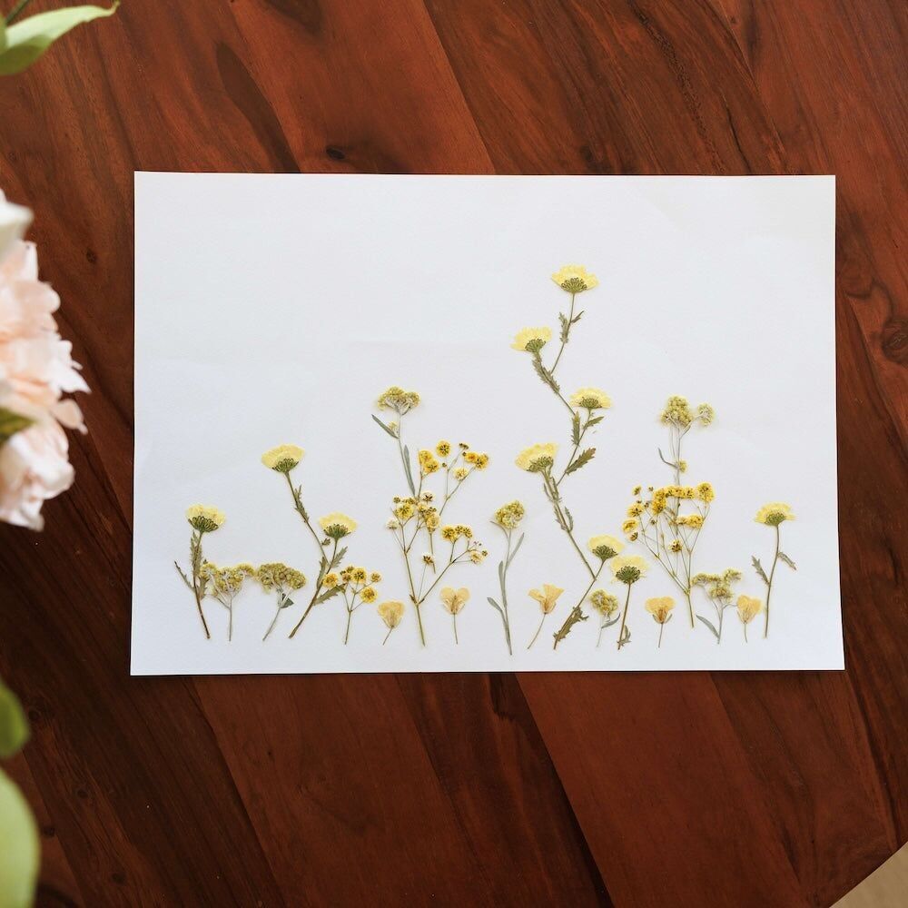 Erbario rustico petali A3