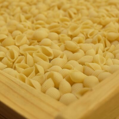 Pasta ECOLÓGICA - Marisco Natural - GRANEL 5kg