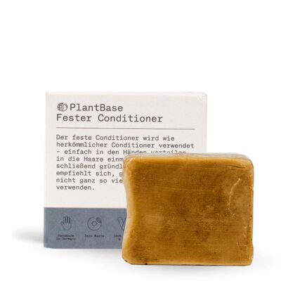 Solid Conditioner 60g